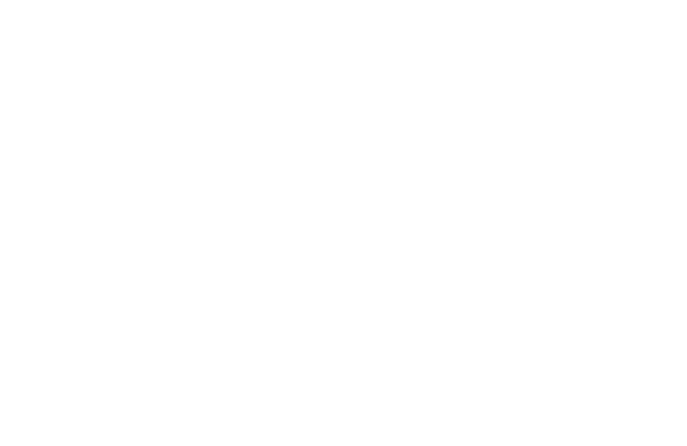 David Strudwick White Logo